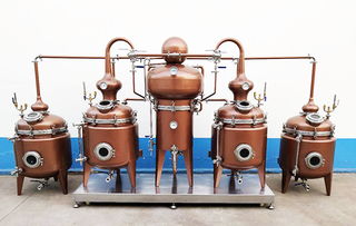 甘肅果梗分離器釀酒專用 山東一工釀酒設(shè)備