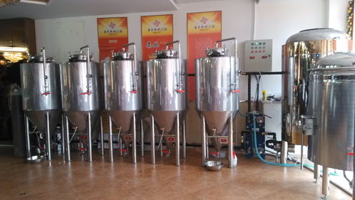 自釀設備現場安裝定做釀酒設備